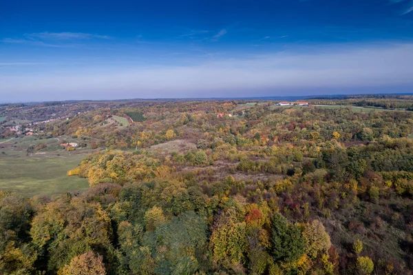 Hermoso bosque de otoño — Foto de Stock