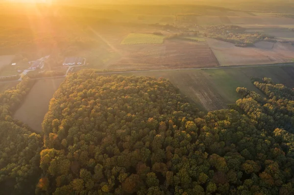 Piękny jesienny las — Zdjęcie stockowe