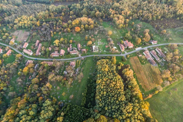 Красивый осенний лес с деревней — стоковое фото