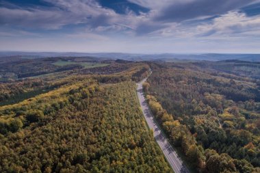 Sonbahar ormanı boyunca yol 