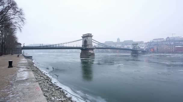 Ijs op de rivier de Donau stroomt — Stockvideo