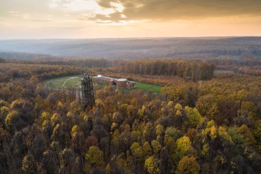 Güzel sonbahar ormanı
