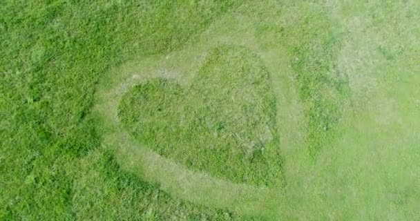 草でハート形の空撮 — ストック動画