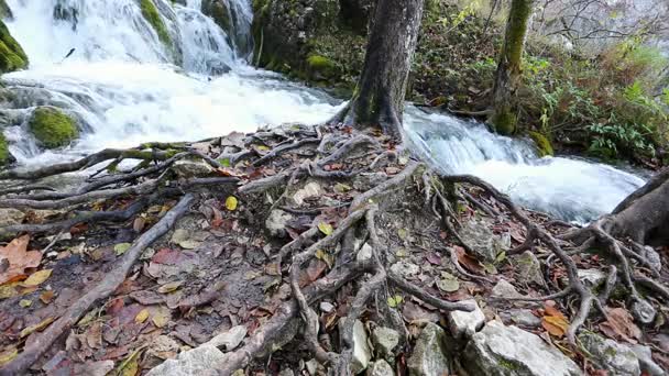 Cascades Dans Les Lacs Plitvice Croatie — Video
