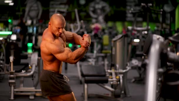 Culturista Posando Gimnasio — Vídeos de Stock