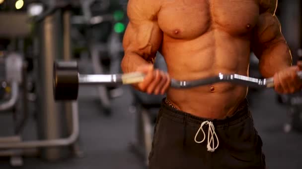Bodybuilder Training Gym — Stock Video