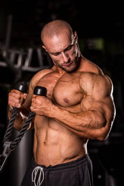 Vücut Geliştirici Eğitimi 