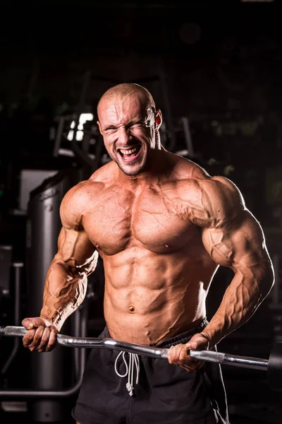 Bodybuilder training — Stock Photo, Image