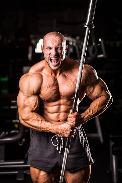 Vücut Geliştirici Eğitimi 