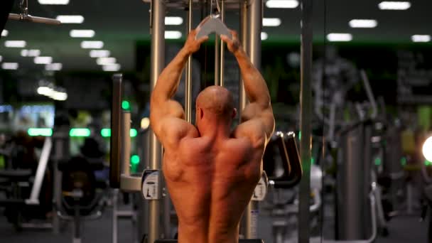 Bodybuilder Κατάρτισης Στο Γυμναστήριο — Αρχείο Βίντεο