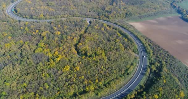 秋天的树林通过弯道的空中无人驾驶视图 — 图库视频影像