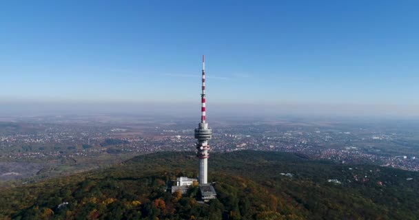 Μεγάλο Πύργο Της Τηλεόρασης Στο Δάσος — Αρχείο Βίντεο