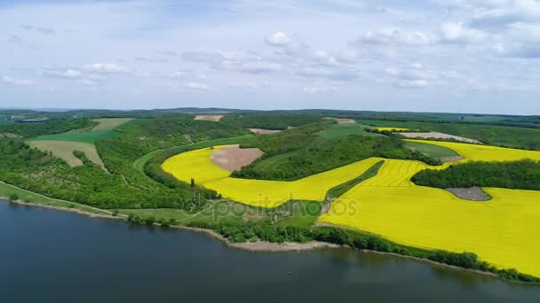 Campo Estupro Bonito Com Lago — Vídeo de Stock