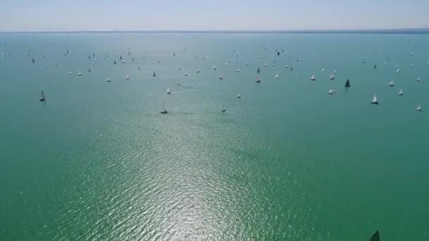 Weiße Segelboote Auf Dem Balaton — Stockvideo
