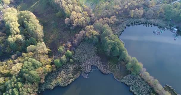 Vista Aérea Del Lago Orfu Con Árboles — Vídeo de stock