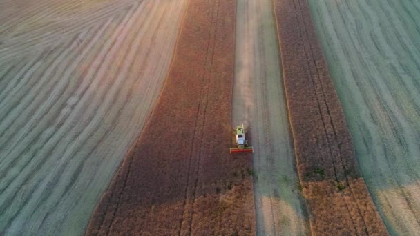 Flyg Flyg Fältet Med Traktor — Stockvideo