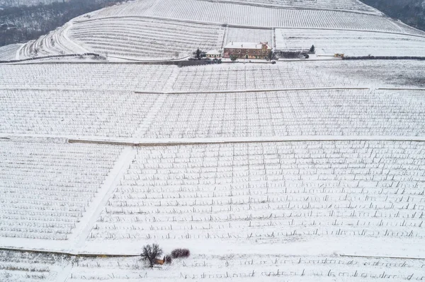 Aerial photo of Vineyard — Stock Photo, Image