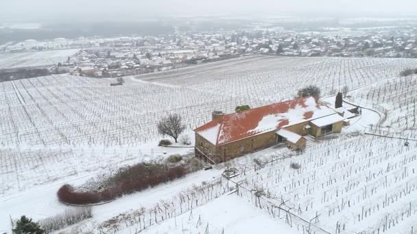 letecké video z vinic v zimním období se sněhem