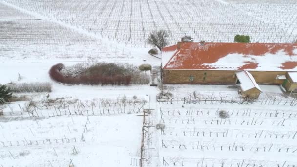 Luchtfoto Video Van Wijngaard Winter Met Sneeuw — Stockvideo