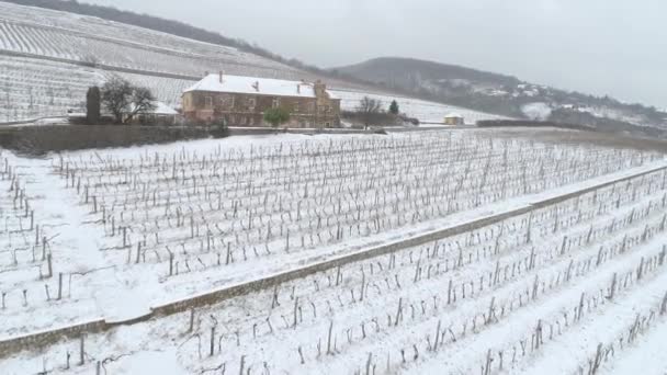 Aerial Video Vineyard Winter Time Snow — Stock Video