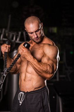 Vücut Geliştirici Eğitimi 