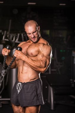 Vücut Geliştirici Eğitimi 