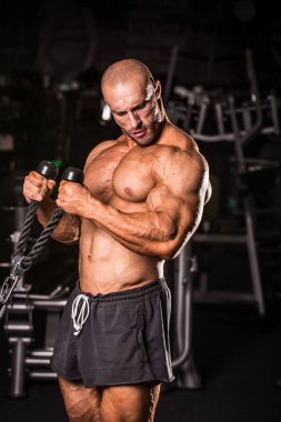 Vücut Geliştirici Eğitimi 