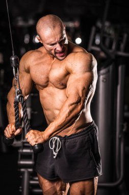 Vücut Geliştirici Eğitimi 