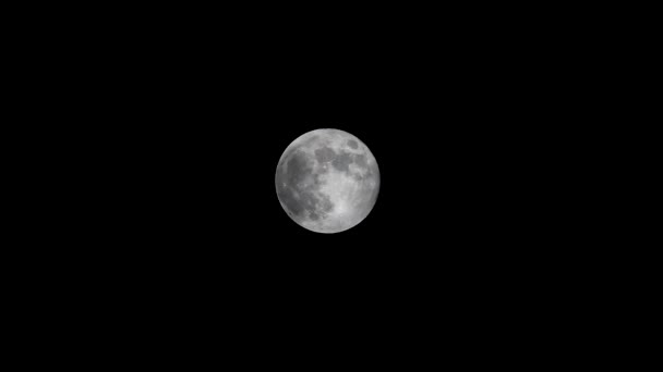 Nuages Passent Devant Une Pleine Lune — Video