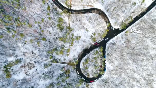 Vídeo Aéreo Carretera Con Curvas Bosque — Vídeo de stock