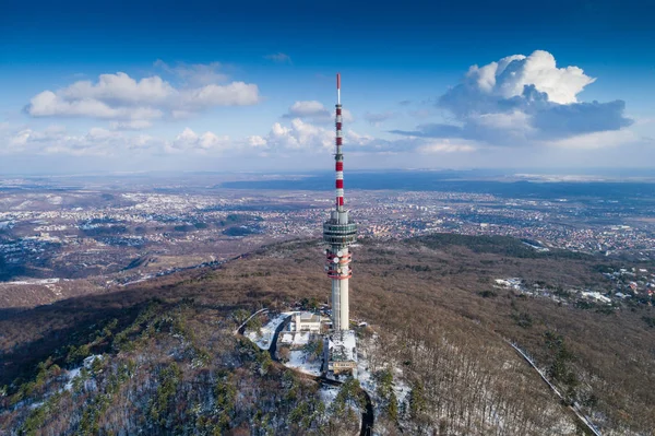 TV tower in forest — Stock Photo, Image