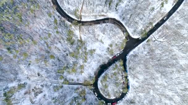 Воздушное Видео Извилистой Дороги Лесу — стоковое видео