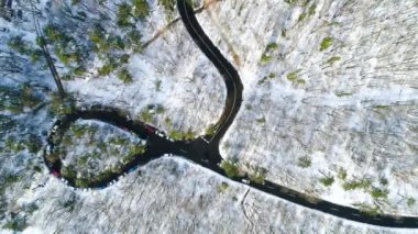 Ormandaki virajlı yol hava video 