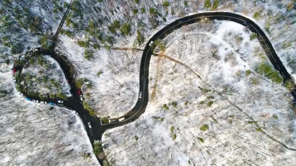 Luchtfoto Video Van Bochtige Weg Bos — Stockvideo