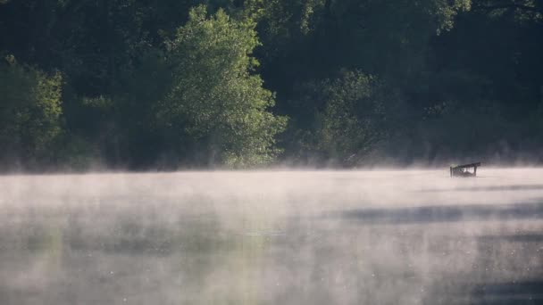Πρωί Στη Λίμνη Και Ομίχλη Μετά Την Ανατολή — Αρχείο Βίντεο