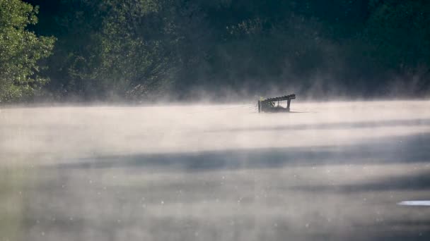 早上湖和日出后雾 — 图库视频影像