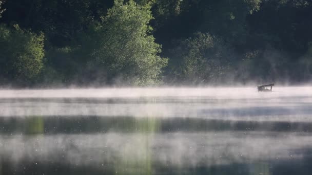 朝湖と霧日の出後 — ストック動画