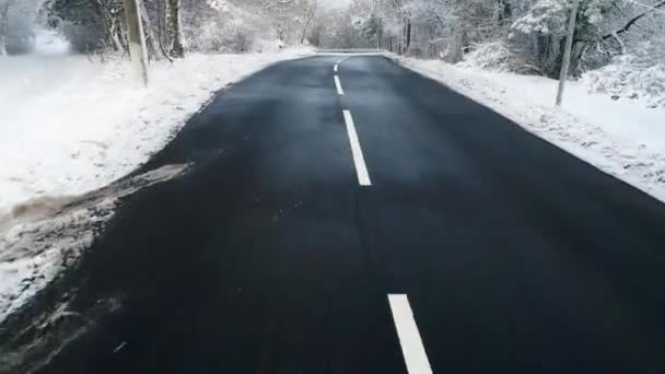 Raod Med Snöig Vinter Skog — Stockvideo