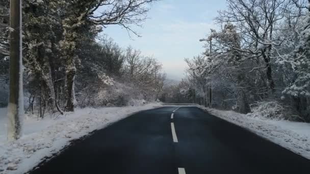 Raod Com Neve Floresta Inverno — Vídeo de Stock