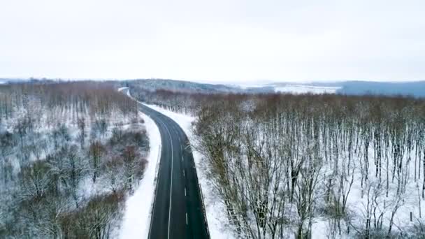 Раю Сніжним Зимовим Лісом — стокове відео