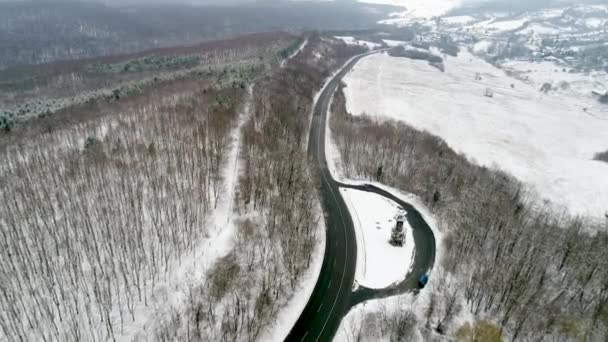 Raod Avec Forêt Enneigée Hiver — Video