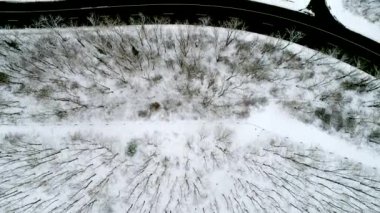 Karlı kış orman ile Raod