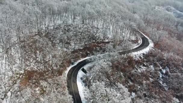 Вид Воздуха Извилистую Дорогу Мечекском Лесу Зимой — стоковое видео