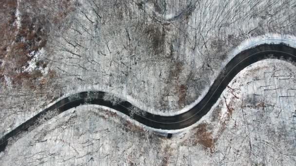 Αεροφωτογραφία Του Curvy Δρόμο Στο Δάσος Mecsek Στο Χειμώνα — Αρχείο Βίντεο