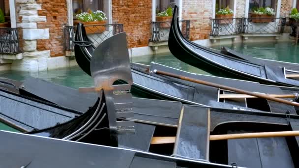 Gondolas Venedig Italien — Stockvideo