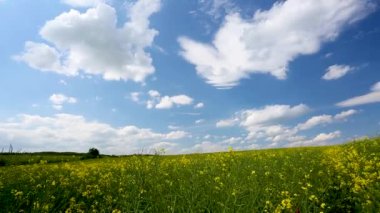 bulutlu gökyüzü alanıyla tecavüz