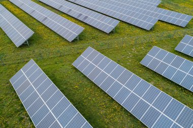 Güneş birçok bitki güç