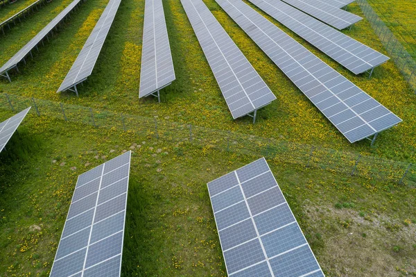 Mnozí solární energie rostlin — Stock fotografie