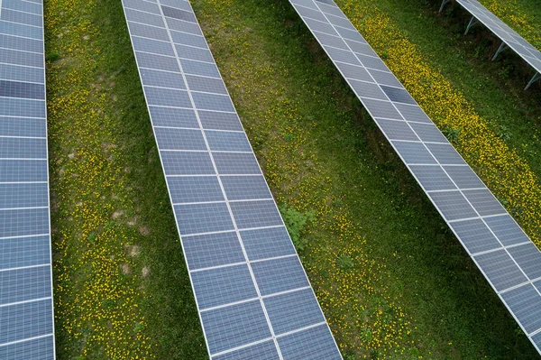 Mnozí solární energie rostlin — Stock fotografie