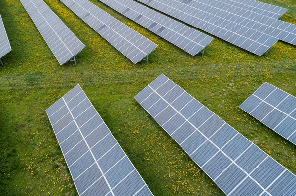 Güneş birçok bitki güç